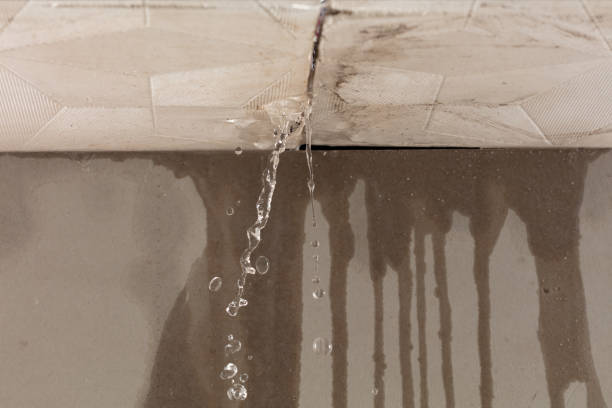 Professional Burst Pipe Cleanup technician working in Pine Level, NC